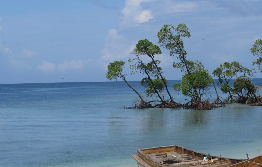 Popular 7 Days Andaman Travel Package