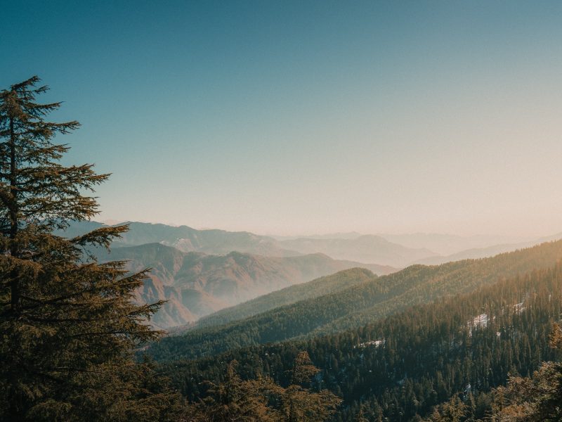 Honeymoon Packages 70 Shimla, Himachal Pradesh, best Shimla Manali honeymoon packages from IMAD Travel