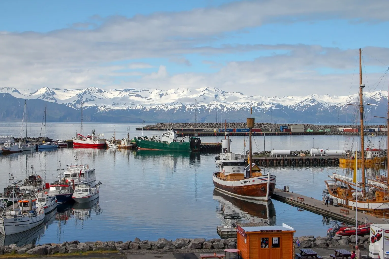 Day 7: Iceland's Northernmost Town, Whale Watching, and Sea Angling 