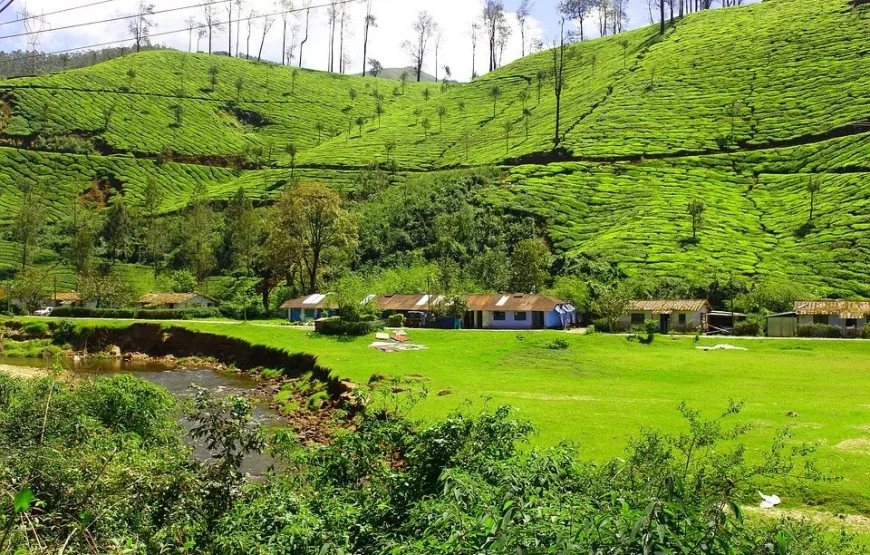 Exotic Kerala Tour Packages 5 Days 4 Nights