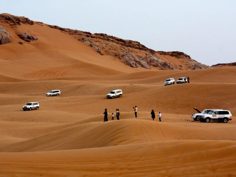 Dubai DESERT SAFARI