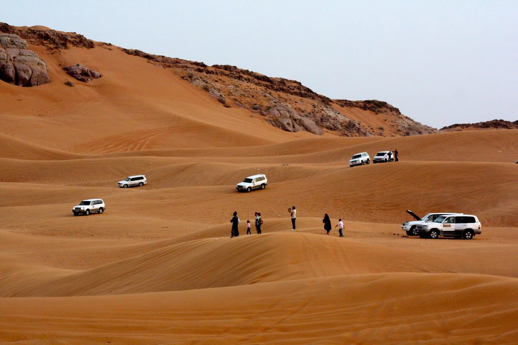 DAY 02 : DUBAI CITY TOUR + DESERT SAFARI WITH DINNER 