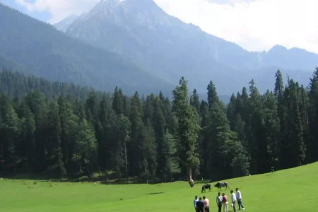Discover the Magic of Kashmir with Kashmir Tour Package – 6 Days 5 Nights