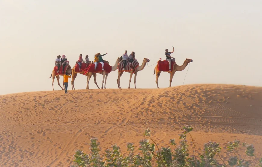 Popular Dubai Tour Package From India – 5 Days 4 Nights