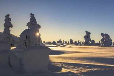 Lapland-Winter-Snow-Landscape-Wintry-Finland part of 6 Days Helsinki Tour Package from India