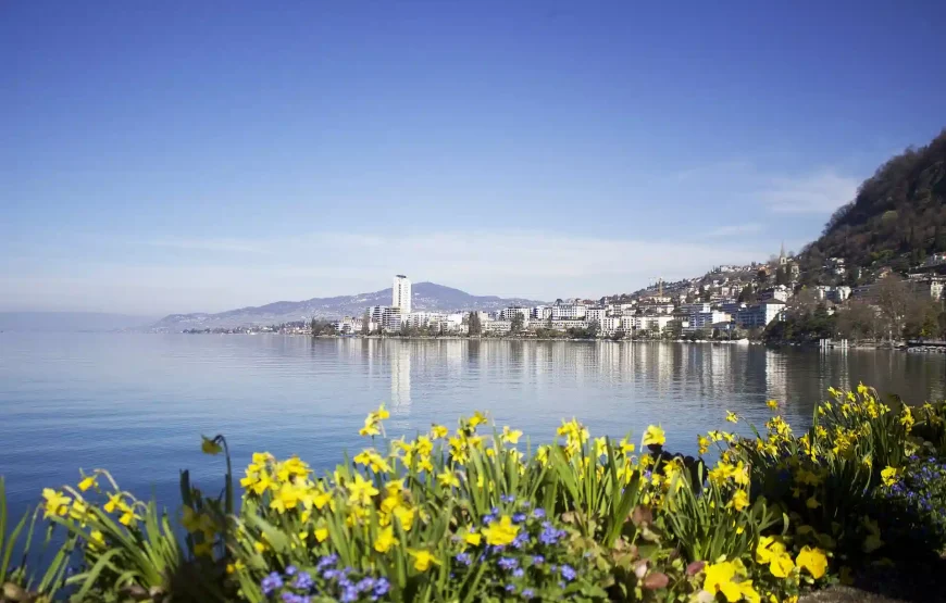 Discover the Magic of Lucerne with Special Tour Package from India