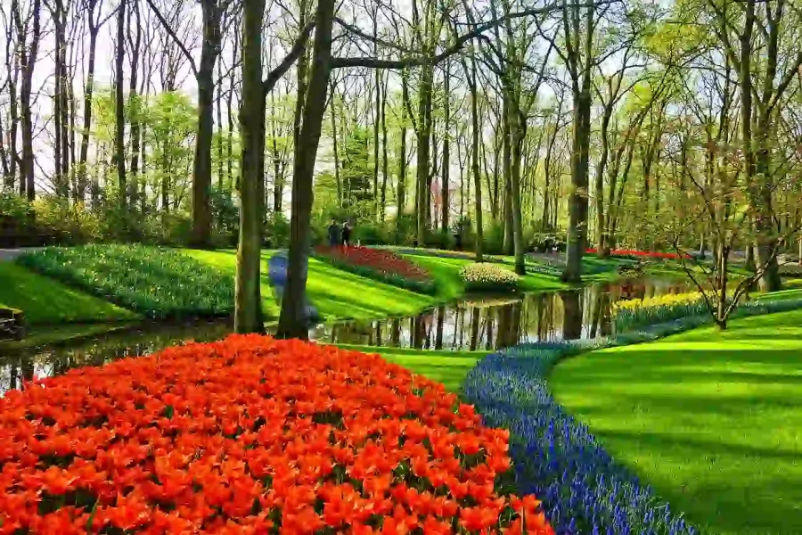 Visit to Keukenhof Garden in 7 Days Netherlands Holiday Package from IMAD Travel