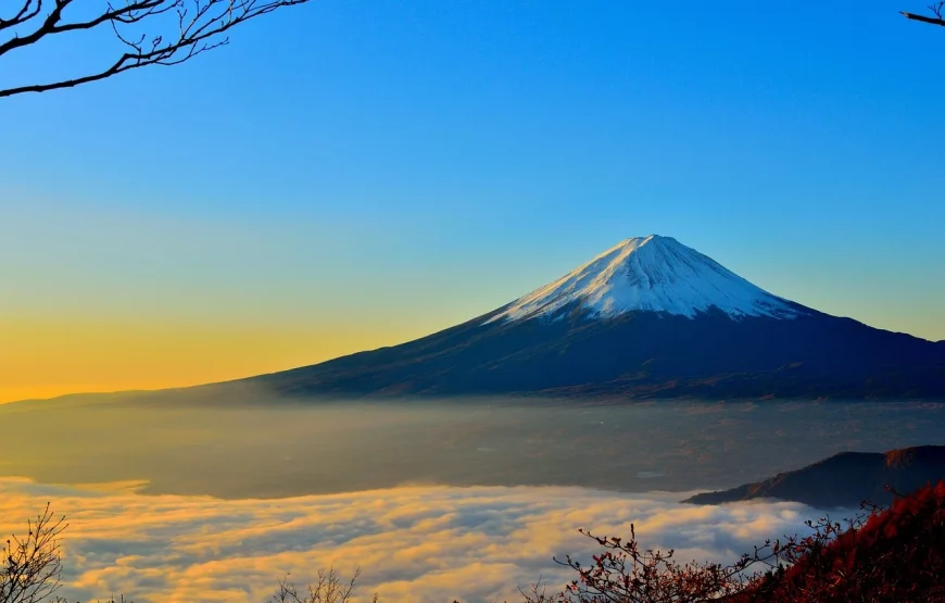 13 Days Cherry Blossoms Special Japan Holiday Package