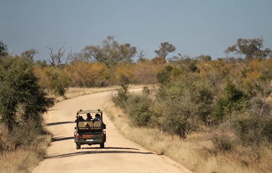 Spectacular 10 Days South Africa Trip Package – From Cape Town to Kruger