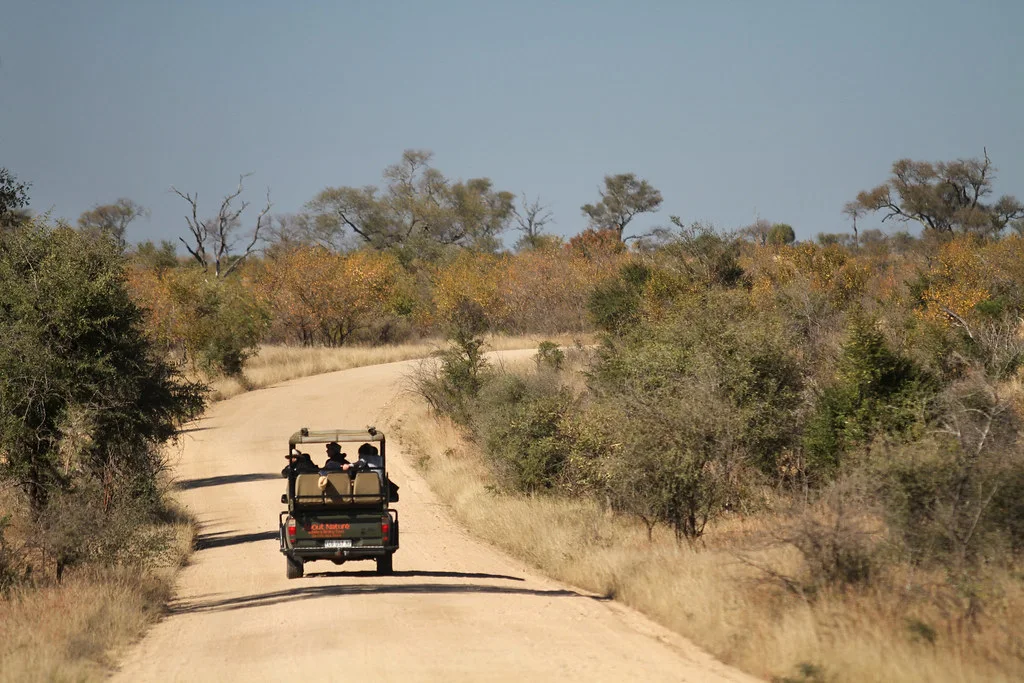 Day 09                                      	         Kruger National Park	           	           		  (D/B)