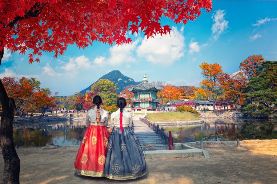 13 days South Korea trip package from IMAD Travel