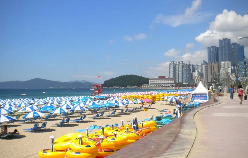 Special 8 South Korea Travel Package from India