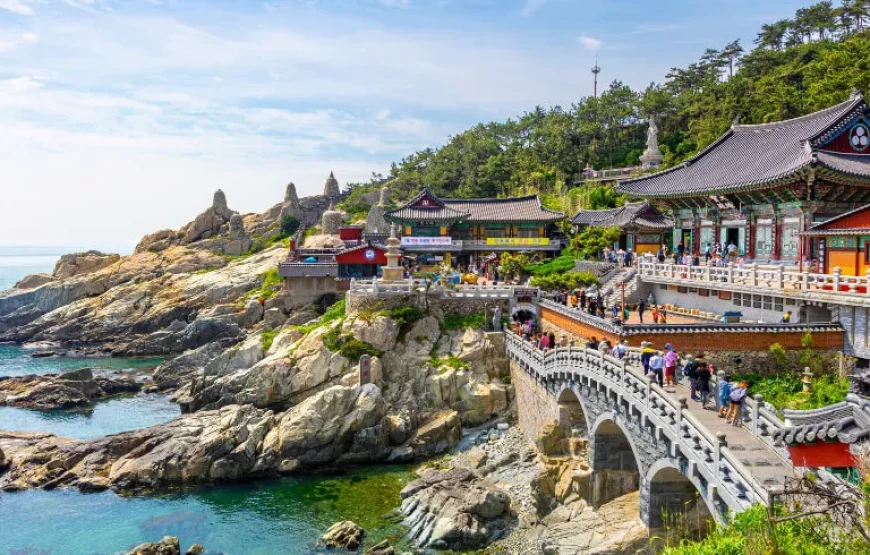 Special 8 South Korea Travel Package from India