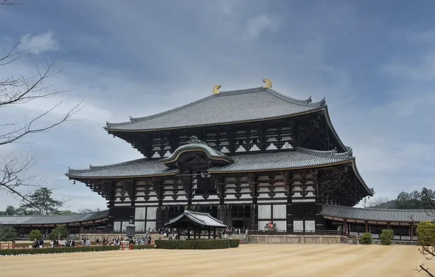 Special 8 South Korea Travel Package from India