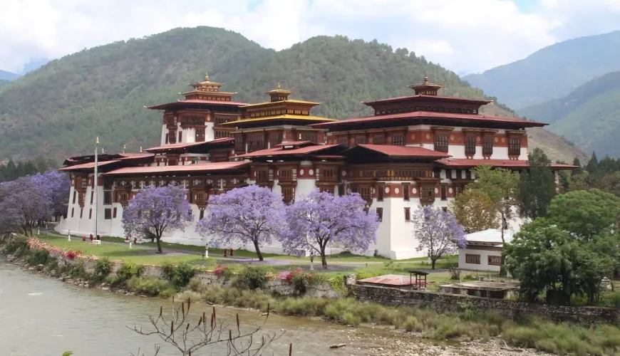 Bhutan tour packages from India with IMAD Travel