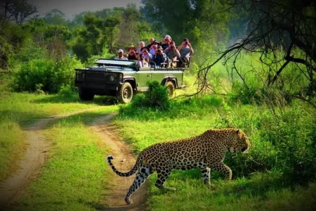 Jungle safari in Chitwan National park in Nepal tour package from India with IMAD Travel