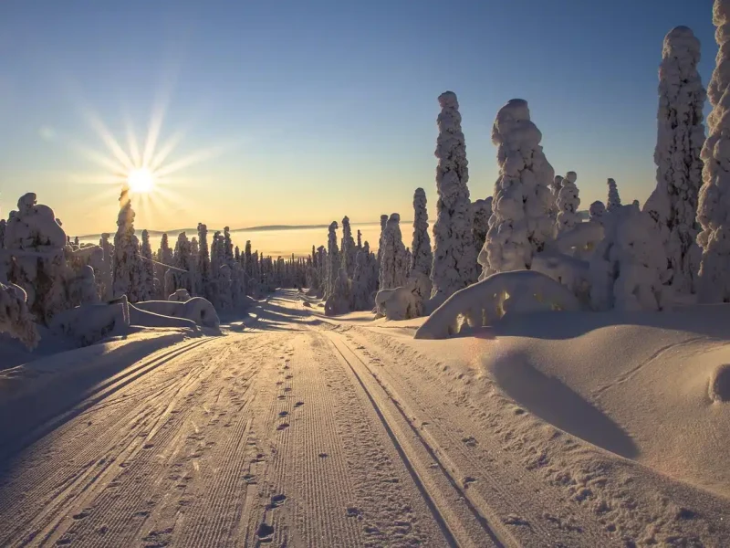 Finland, Lapland, Winter landscape - Winter Honeymoon Destinations In Europe