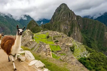 Machu Picchu, Lama - 15 Days South America Holiday Package with 4 Days In Peruvian Amazon