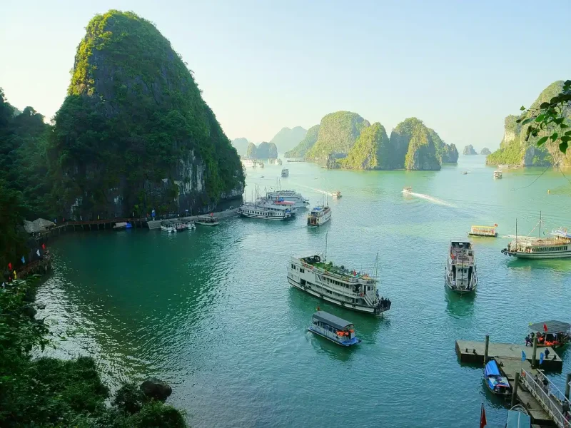 Halong Bay - Vietnam Digital Arrival Card 2026 - Guide for Indians