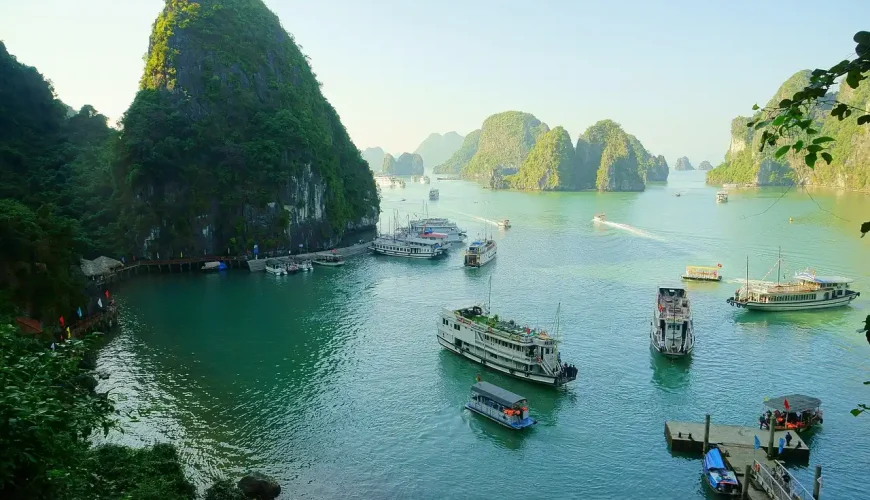 Halong Bay - Vietnam Digital Arrival Card 2026 - Guide for Indians