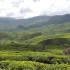 Places to Visit in Kerala - Tourist Places & Attractions