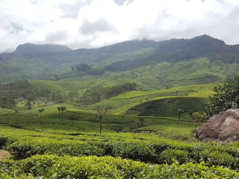 Places to Visit in Kerala - Tourist Places & Attractions